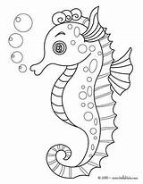 Coloring Pages Seahorse Hellokids sketch template