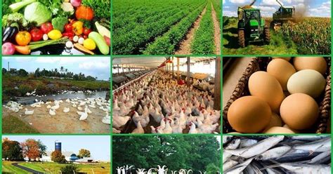 small farming business ideas  south africa