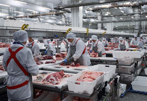 russia wants to step up meat and grain exports to japan russia beyond