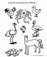 Preschool Activity Number Activities Coloring Legs Worksheets Color Printable Two Pages Worksheet Kids Child Print Clipart Animals Animal Puzzles Different sketch template