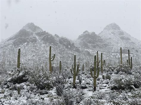 rare snow storm   sonoran desert  tucson az ocx rearthporn