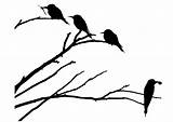 Branch Silhouette Bird Birds Coloring Tree Clipart Library Large sketch template
