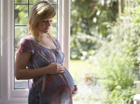 Pregnant Woman Stock Image F003 9139 Science Photo Library