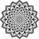 Mandala Coloring Adult Clipart Floral Svg Clip Illustration Inquiry Policies Forms Privacy sketch template