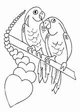 Couple Perroquet Coloriage Colorier Hugolescargot Amoureux Coeur Gratuit Un Dessin Amour Perroquets Animaux Coloriages Sur Enregistrée Depuis sketch template
