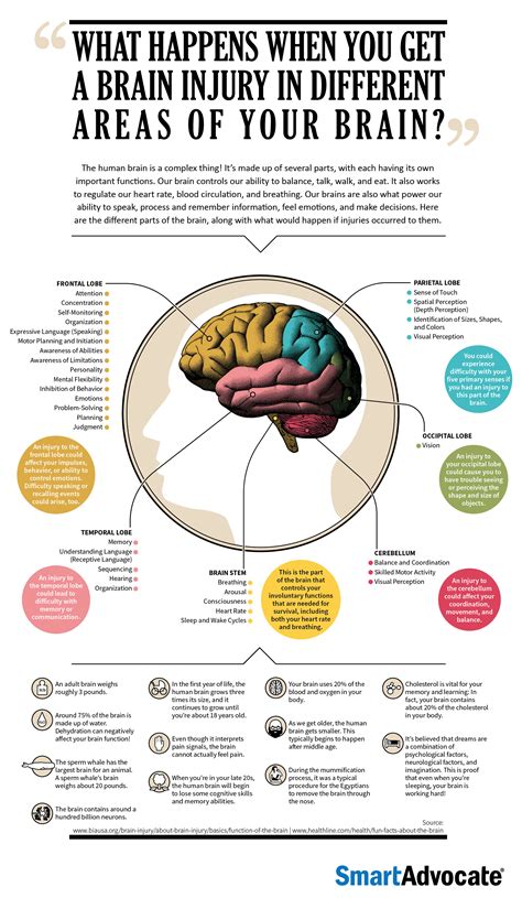 brain injury   areas