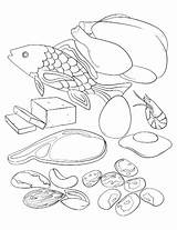 Protein Coloring Pages Myplate Printable Getdrawings Color Pag Getcolorings sketch template