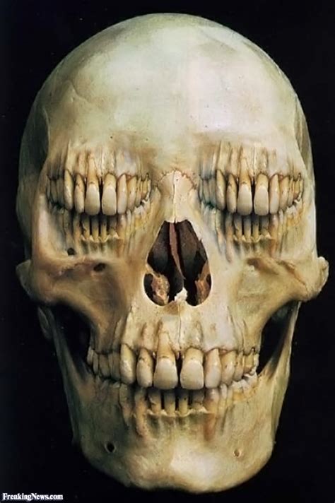 skull with mouth eyes pictures freaking news