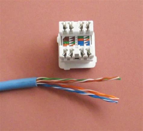 buy connecting cate cable  wall plate  stock