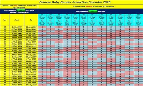 Chinese Birth Calendar 2020 Template Chinese Calendar