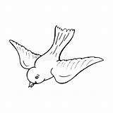 Vogel Vliegende Oiseau Pigeon sketch template
