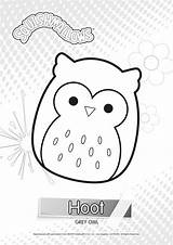 Squishmallows Hoot Squishmallow Rare Xcolorings Grew Fox Noncommercial Kitty sketch template