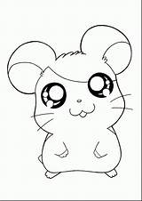 Hamster Dwarf Getdrawings Drawing Coloring Pages sketch template