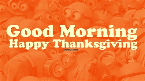 good morning happy thanksgiving pictures   images