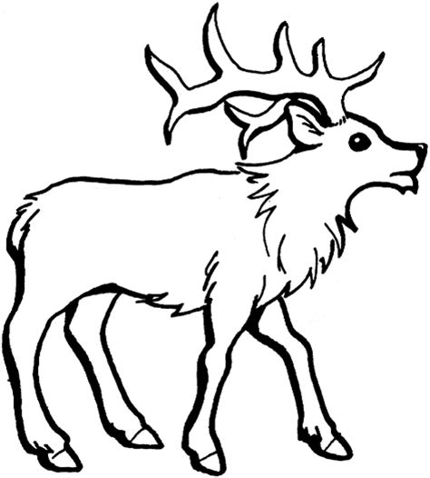 reindeer coloring pages bestappsforkidscom