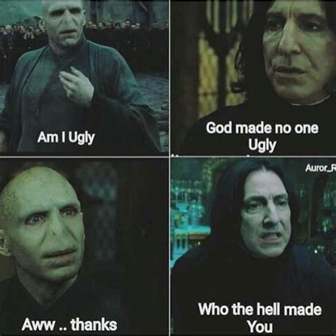 funniest voldemort memes     laugh uncontrollably
