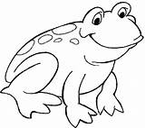 Frog Coloring Pages Outline Cute Clipart Clipartbest Bestofcoloring Farm Animal sketch template