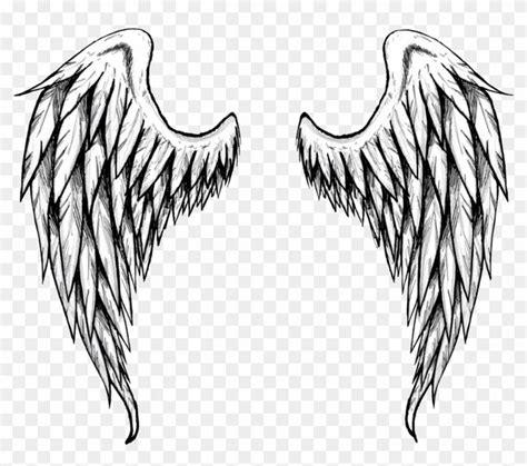draw angel wings google search   sketches animals wings
