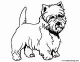 Coloring Yorkie Pages Outline Printable Kids Adults sketch template