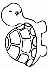 Outline Turtles Colouring Tortoise Drawings Peuters Clipart Getdrawings Clipartmag Snapping Tortuga Colorare Animalitos Ball Faciles Nemo Aquatic Hojas Animali Bing sketch template