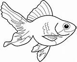 Coloring Pages Fish Coy Little Choose Board Color sketch template