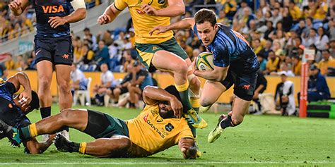 tri nations preview australia  argentina americas rugby news