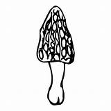 Fungi Pilze Pflanzen Fensterbilder Malvorlagen sketch template