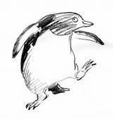 Getdrawings Penguin Feet Drawing sketch template