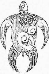 Turtle Coloring Printable Artwork Drawing Original Polynesian Zentangle Tattoo Waves Doodle Inspired Many Line Pages sketch template