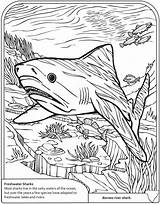 Coloring Shark Goblin Sharks Borneo Dover Tiger Designlooter sketch template