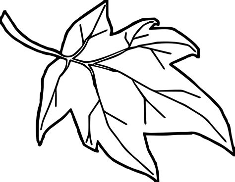 jungle leaves coloring pages  getdrawings