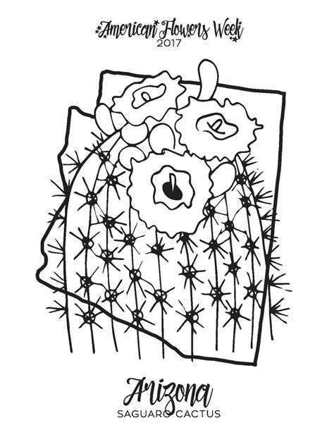state flowers coloring pages    map flower coloring