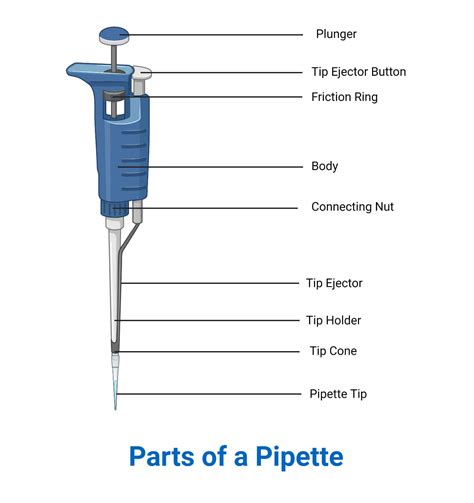 pipette principle parts types procedure  examples