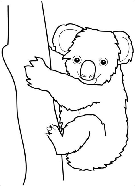 koalajpg  koala drawing bear coloring pages animal drawings