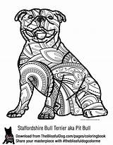 Coloring Pages Staffordshire Pitbull Bull Dog Terrier Colouring Book Puppy American Adult Color Pit Animal Theblissfuldog Print Printable Breeds Terriers sketch template