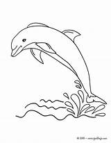 Dolphin Dauphin Delphin Delfine Delfin Hellokids Ausdrucken Hors Eau Saltando Drucken Imprimer Jedessine Golfinho Dolphins Coloriages Animaux Delfiner Tegninger Dauphins sketch template