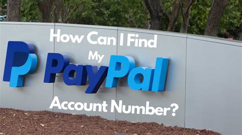 find  paypal account number sheepbuy blog