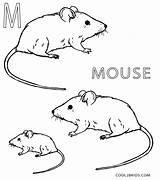 Mouse Coloring Pages Sheet Printable Preschool Template Kids Cool2bkids House sketch template
