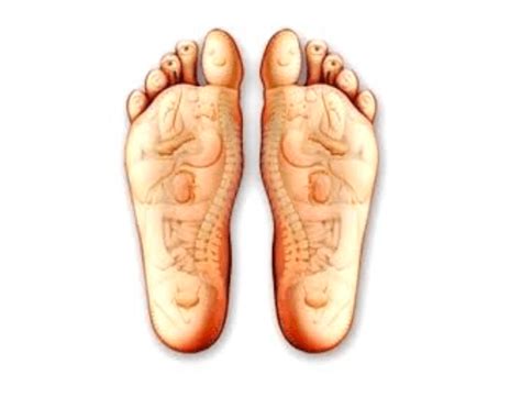 wat zeggen je voeten  je gezondheid mooi verouderen