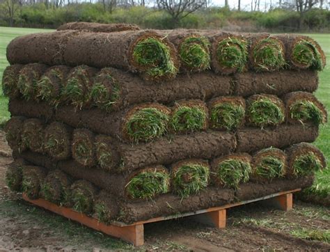 sod rolls sod delivery sod grass sod  sale sod prices hartford wi