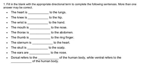 Anatomy Directional Terms Worksheet Answers Anatomy Drawing Diagram