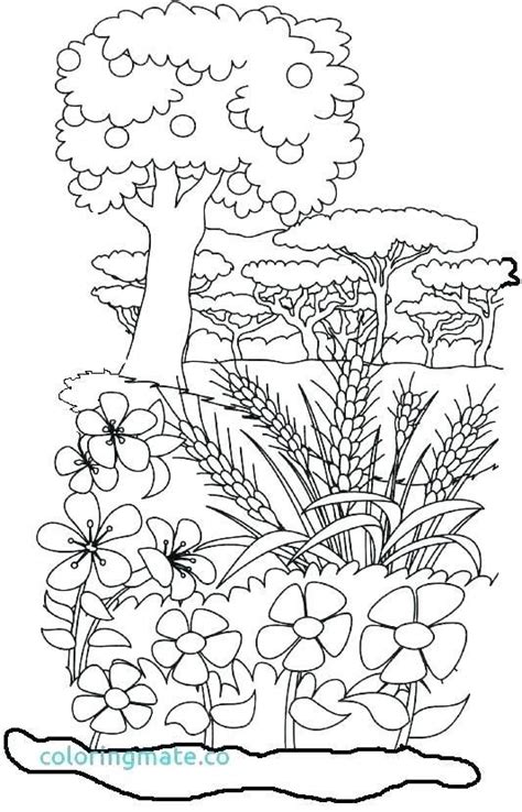 coloring pages creation story page    bible