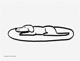 Coloring Dog Rug Lazy Apex Sleeping sketch template
