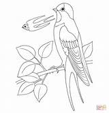Swallow Coloring Pages Printable Bird Pattern Getdrawings Drawing 88kb Getcolorings Colorings sketch template