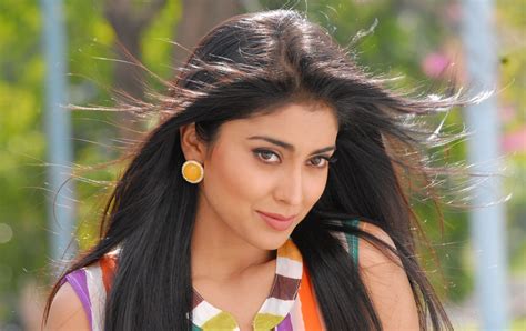 shriya saran bollywood actress new pictures images high quality all hd wallpapers