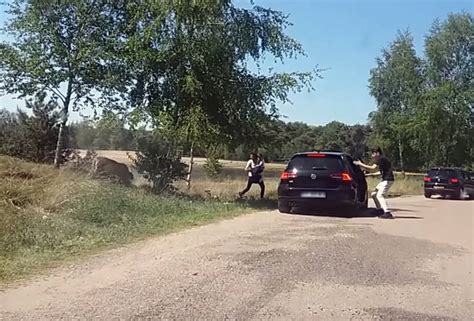 video bijna opgegeten gezin stapt tijdens safari uit auto nederland
