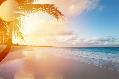 The Best Beaches In Barbados Caribbean Travel Inspira