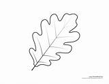 Leaf Oak Template Tree Drawing Coloring Templates Pages Kids Leaves Printables Printable Cut Maple Fall Timvandevall Color 2998 Drawings Merrychristmaswishes sketch template