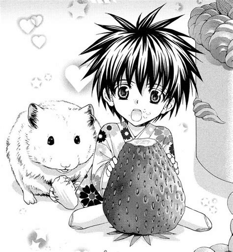 demon love spell mayu shinjo series review heart of manga