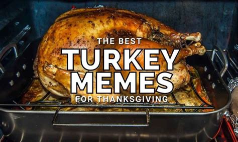 funny turkey memes for thanksgiving 2020 turkey funny turkey memes
